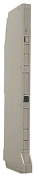 Avaya Legend 100 DS1 Module Refurbished